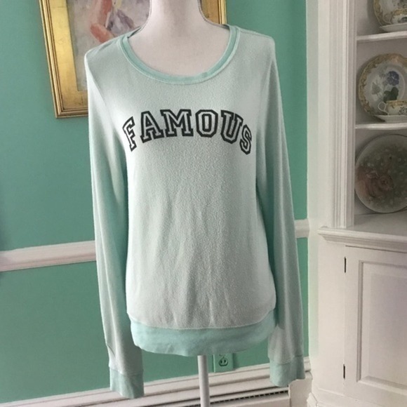 Wildfox Famous Sweatshirt Size M - Picture 1 of 2